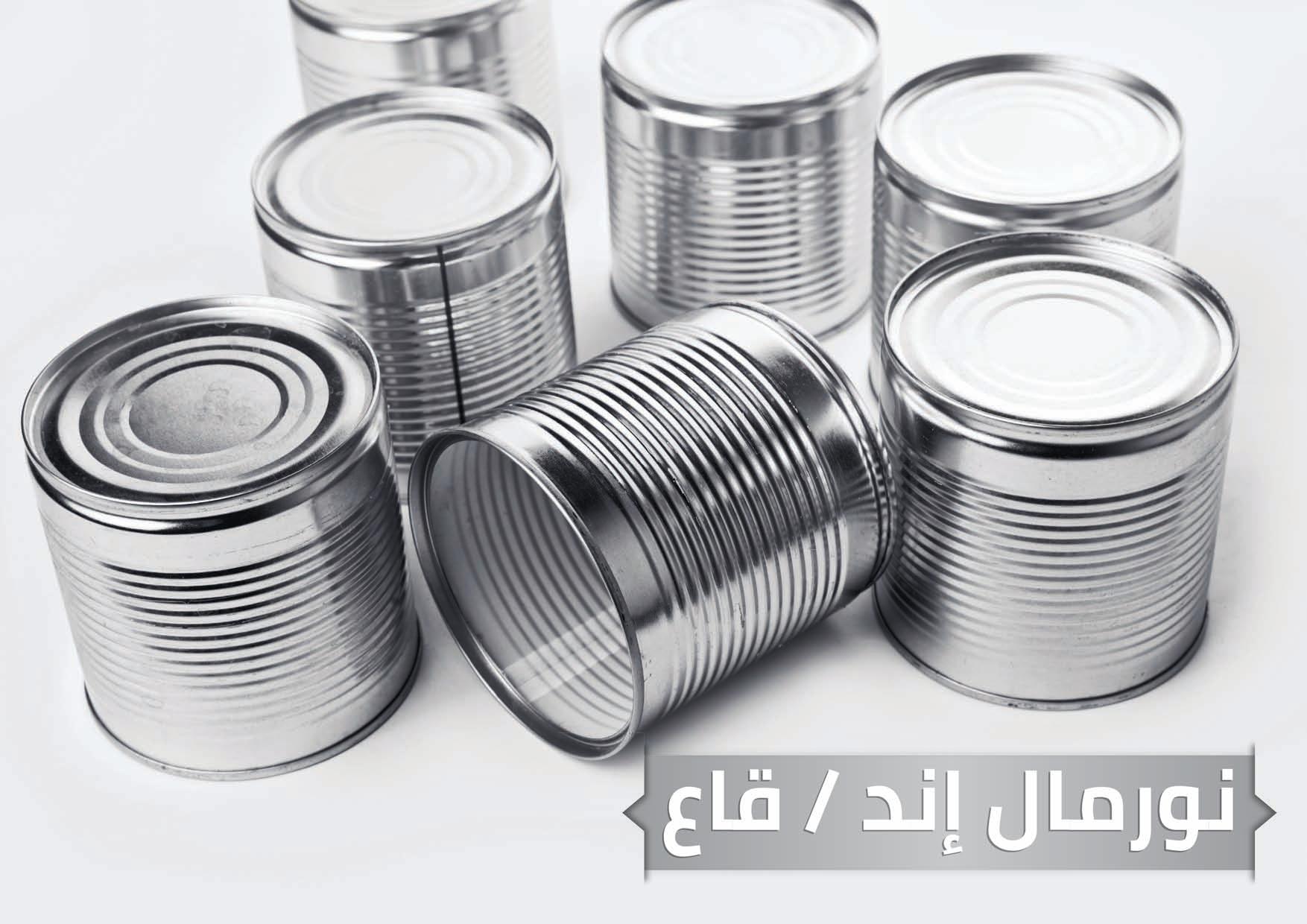 الغطاء النورمال إند